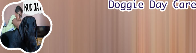 Dogs will play